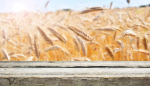 Lege Houten Tafel Met Natuurlijke Achtergrond — Stockfoto