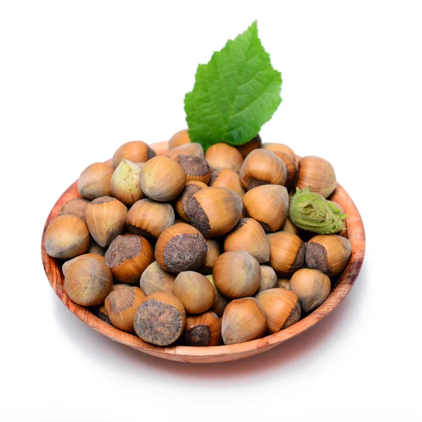 Taze fındık stüdyo çekim aldı