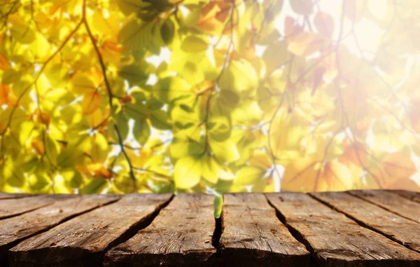 Lege Tabel Met Onscherpe Natuurlijke Achtergrond — Stockfoto