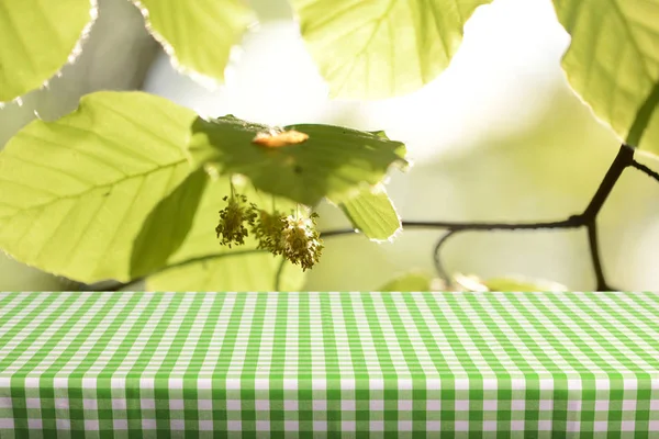 Mesa Vazia Com Toalha Mesa Quadriculada Cores Fundo Natural Desfocado — Fotografia de Stock