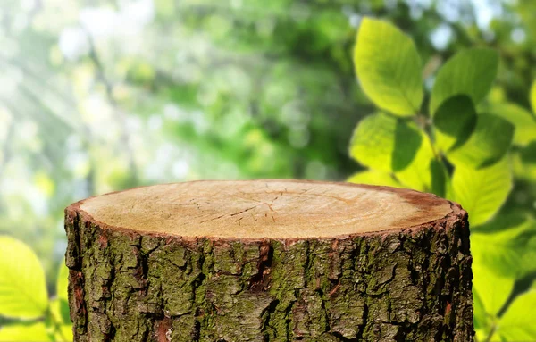 Tronco Árbol Vacío Con Fondo Natural — Foto de Stock