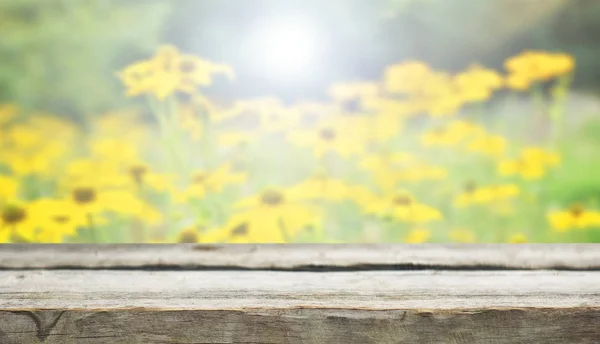 Leerer Holztisch Mit Natürlichem Hintergrund — Stockfoto