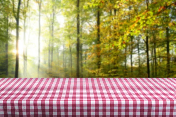 色の格子模様のテーブル クロスで空のテーブル — ストック写真