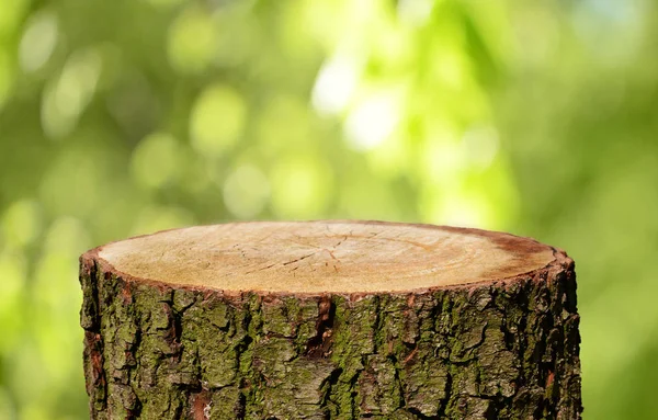 Boş Ağaç Gövdesi Ile Doğal Arka Plan — Stok fotoğraf