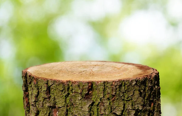 Empty Tree Trunk Natural Background — Stock Photo, Image