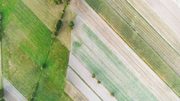 Piękny Krajobraz Lotnicze Letnich Pól Podczas Zachodu Słońca — Zdjęcie stockowe