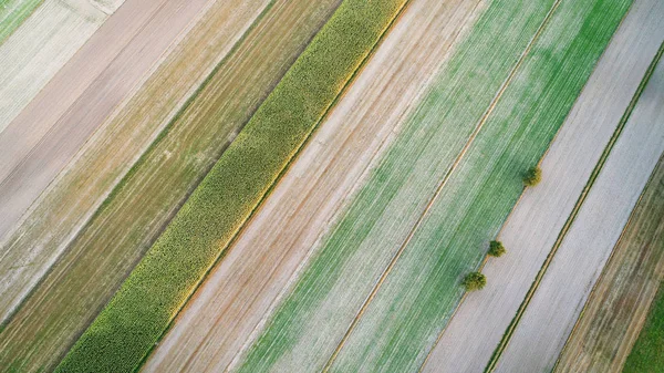 Hermoso Paisaje Aéreo Con Campos Verano Durante Puesta Del Sol —  Fotos de Stock