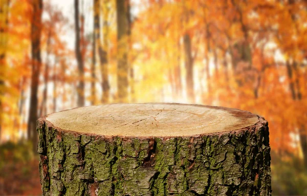 Leerer Baumstamm Mit Natürlichem Hintergrund — Stockfoto