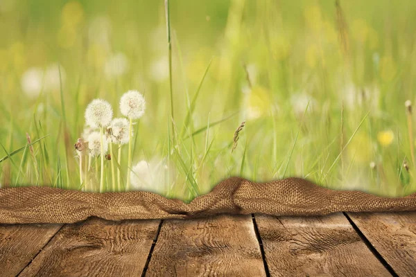 Leerer Holztisch Mit Natürlichem Hintergrund — Stockfoto