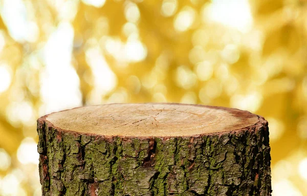 Leerer Baumstamm Mit Natürlichem Hintergrund — Stockfoto