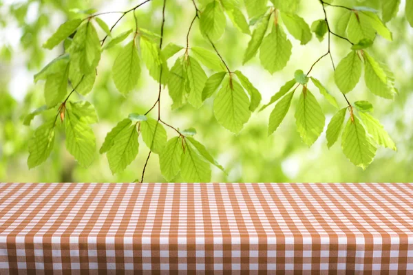 Lege Tabel Met Kleur Geruit Tafelkleed Natuurlijke Achtergrond Wazig — Stockfoto