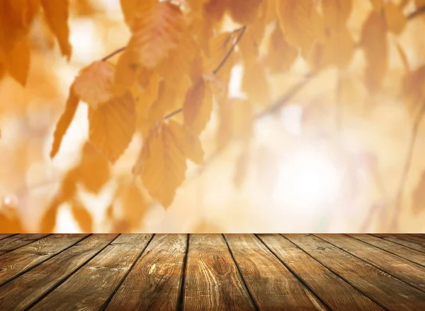 Mesa Madera Vacía Con Fondo Natural Borroso — Foto de Stock