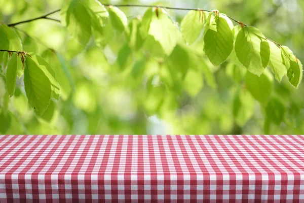 Boş Tablo Ile Renkli Damalı Masa Örtüsü — Stok fotoğraf