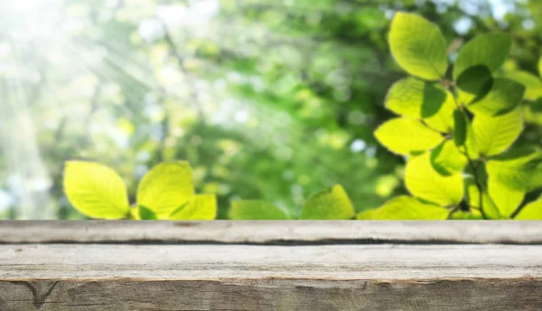 Empty Wooden Table Natural Background — Stock Photo, Image