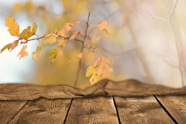 Empty Wooden Table Natural Background — Stock Photo, Image