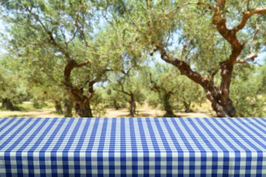 Boş tablo ile renkli damalı masa örtüsü  