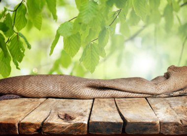Doğal arka plan bulanık ile boş ahşap masa