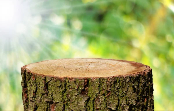 Tronco Árbol Vacío Con Fondo Natural — Foto de Stock