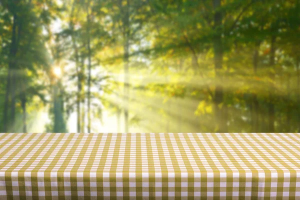 Empty Table Colored Checkered Tablecloth — Stock Photo, Image