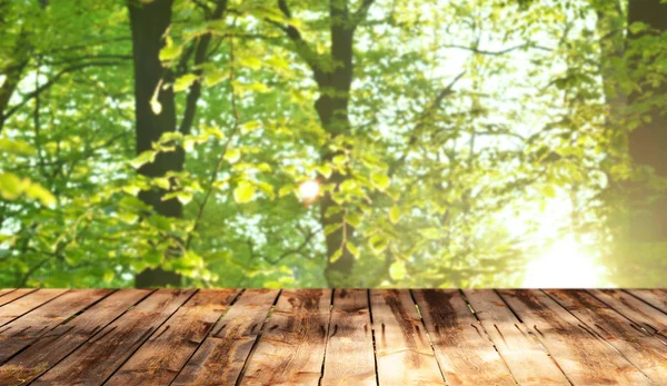 Tom Träbord Med Naturliga Bakgrund — Stockfoto