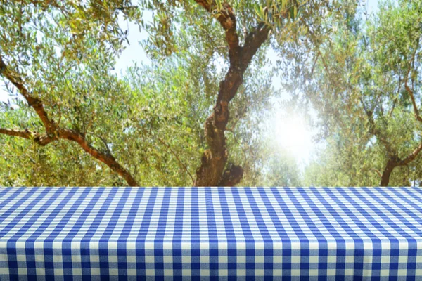 Empty Table Colored Checkered Tablecloth — Stock Photo, Image