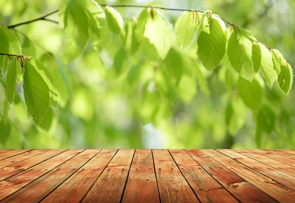 Table Bois Vide Avec Fond Naturel Flou — Photo