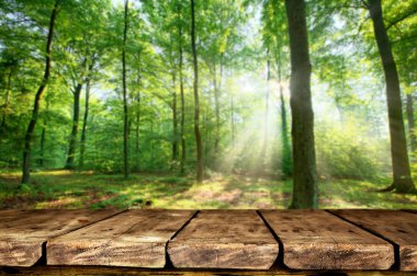 Boş tablo ile doğal arka plan bulanık