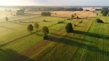 Güzel hava peyzaj alanları ve orman 