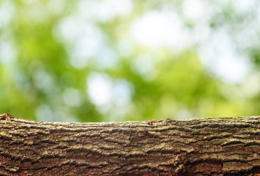 Ürün için ahşap günlük arka plan görüntülemek montages