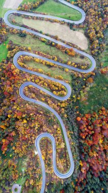 yolun sonbahar sahne havadan görünümü 