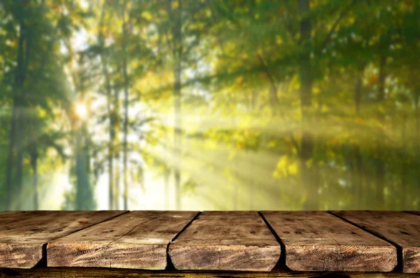 Lege Houten Tafel Met Onscherpe Natuurlijke Achtergrond — Stockfoto