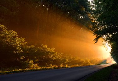 Çok güzel bir sabah ışık yol