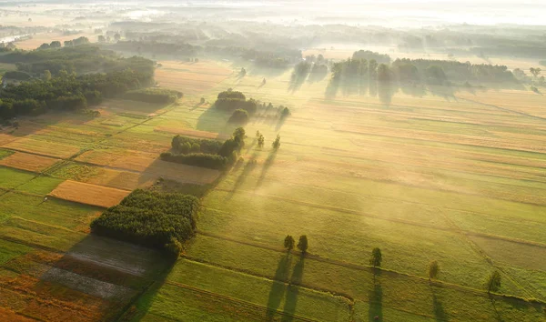 Paisagem Aérea Bonita Com Campos Floresta — Fotografia de Stock