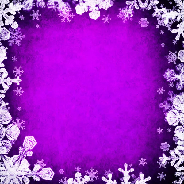Purple Christmas Background White Snowflakes — Stock Photo, Image