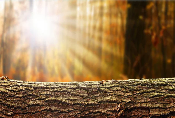 Fából Készült Napló Háttér Részére Termék Bemutatás Montázsok — Stock Fotó