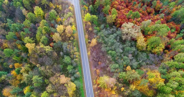 Vista Aérea Carretera Paisaje Otoño —  Fotos de Stock