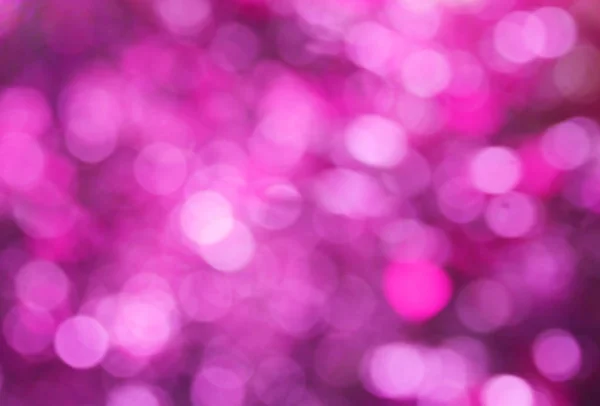 Defocused Pink Bokeh Background — Stock Photo, Image