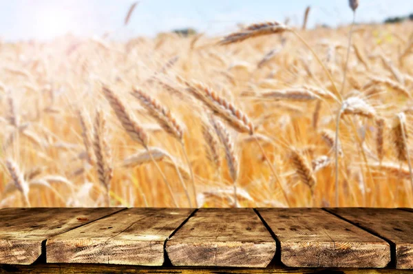 Lege Tabel Met Onscherpe Natuurlijke Achtergrond — Stockfoto