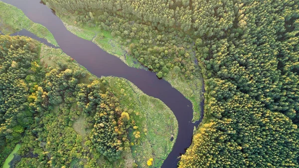 Wiev Aéreo Bonito Rio Natural — Fotografia de Stock