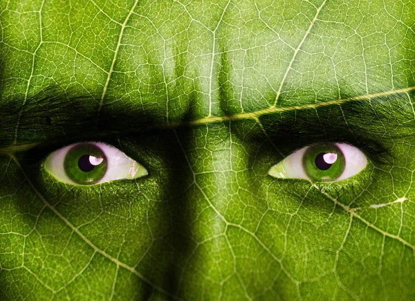 人脸上的叶子纹理 生态理念 — 图库照片