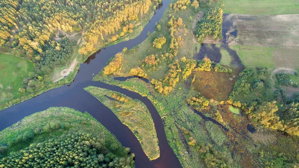 Красивые Воздушные Wiev Естественной Реки — стоковое фото