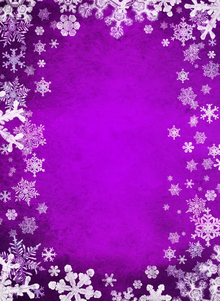 Fond Noël Violet Avec Des Flocons Neige Blancs — Photo