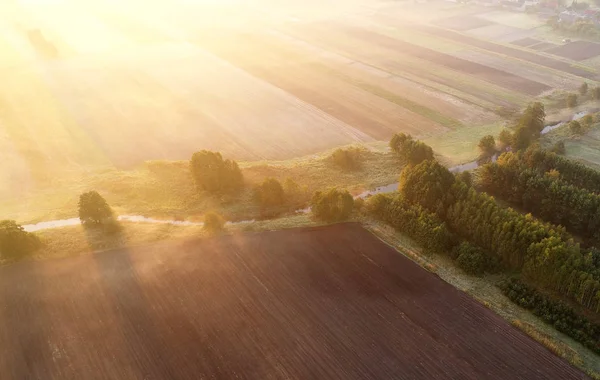 Aerial Landscape Early Sunny Morning Summer Fields — Stock Photo, Image