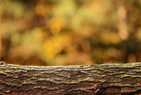 Wooden Log Background Product Display Montages — Stock Photo, Image