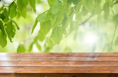 Bulanık bahar arka plan ile boş ahşap masa 