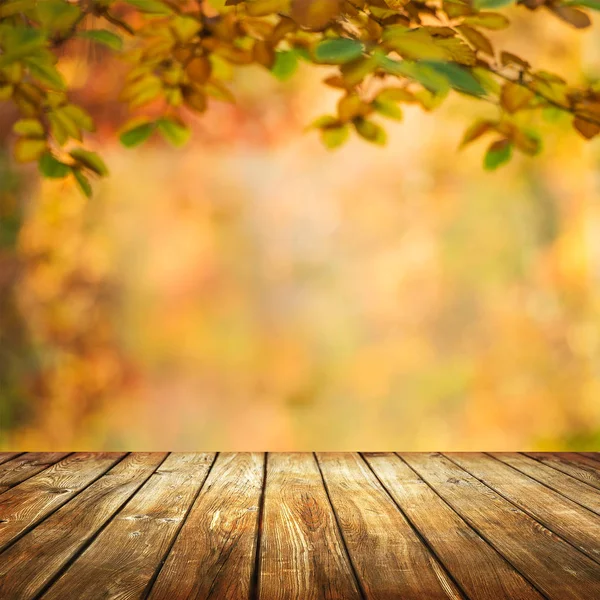 Mesa Vacía Con Fondo Borroso Otoño — Foto de Stock