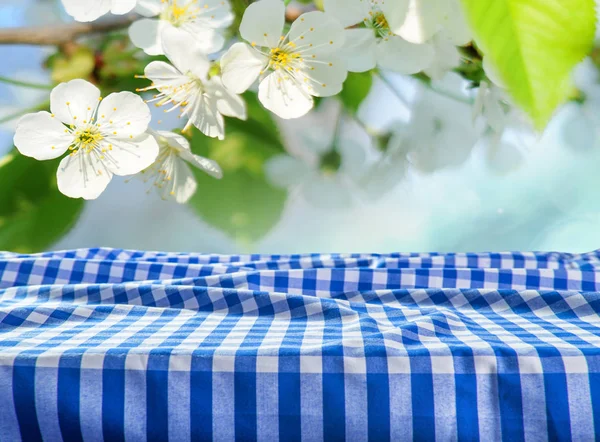 Empty Table Checkered Tablecloth Blurred Natural Background — Stock Photo, Image