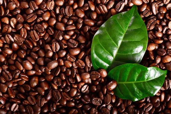 Close View Roasted Coffe Beans — Stock Photo, Image