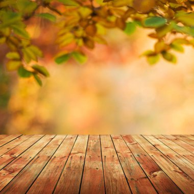 Boş tablo ile sonbahar arka plan bulanık 