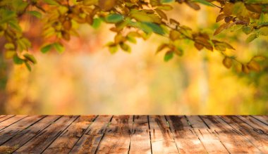 Boş tablo ile sonbahar arka plan bulanık 